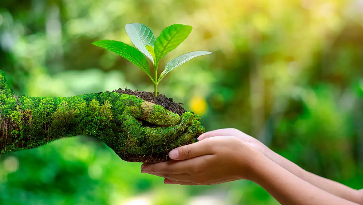 Environmental awareness