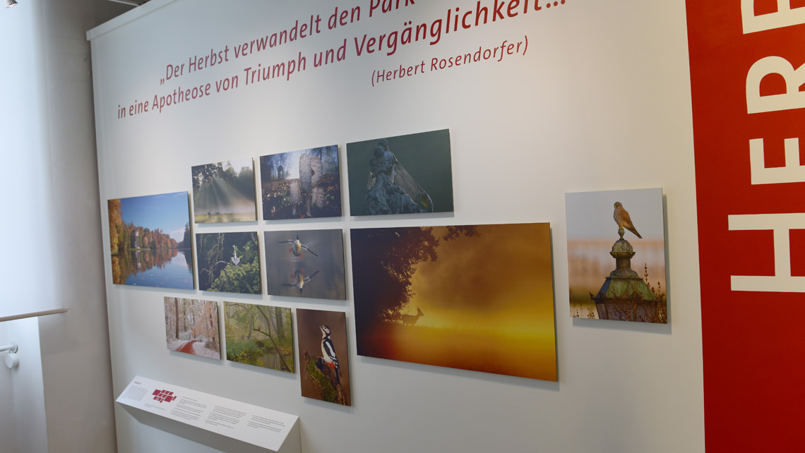 Labeling & gluing 2017