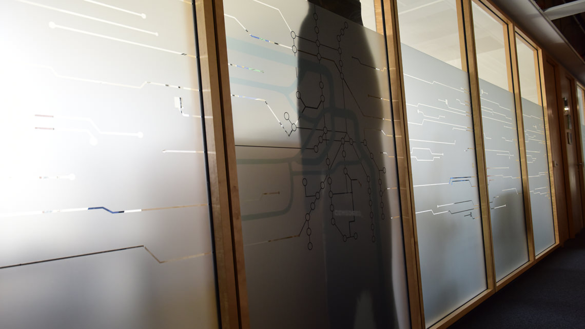 The privacy bear has been killed