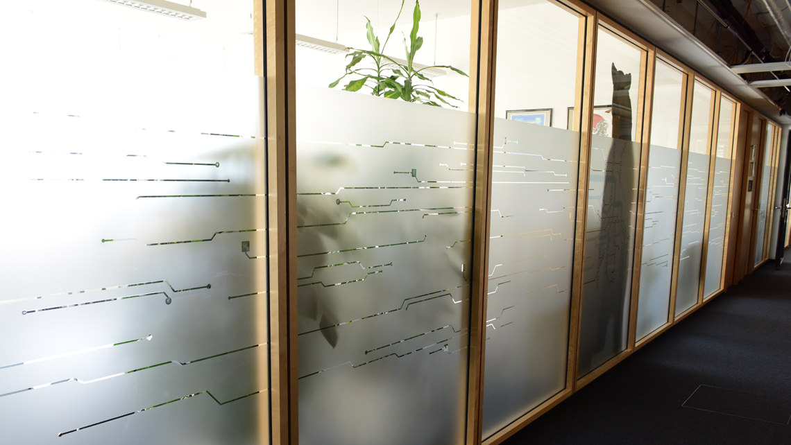 The privacy bear has been killed