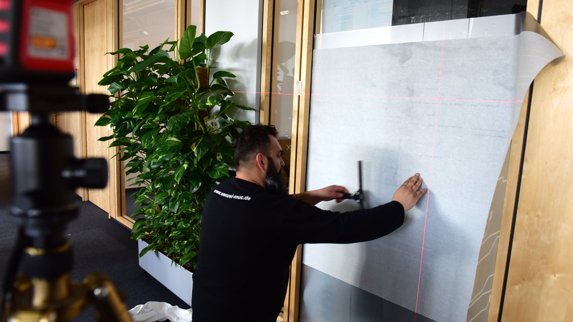 The privacy bear has been killed