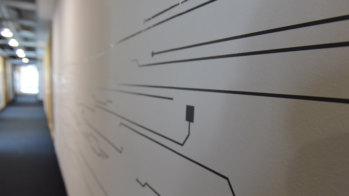 The privacy bear has been killed