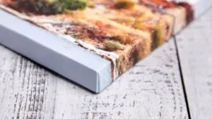 Canvas - Wall murals and posters in gallery quality12