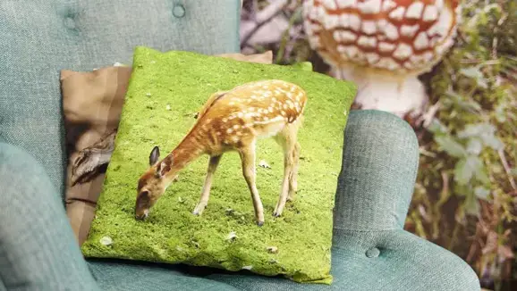 Sofa cushions
